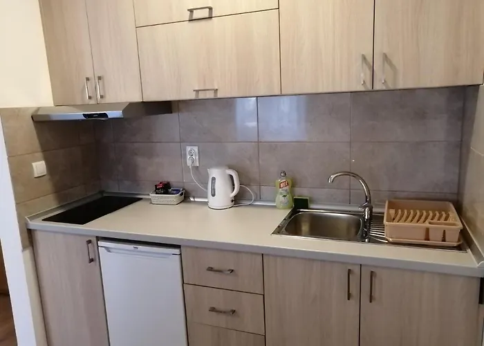 Apartament Apartmani&spa Matin Breg